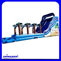 Glissade Calypso +Rallonge + Bassin Glissade Calypso +Rallonge + Bassin