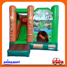 Combo Singe Combo Singe